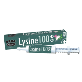 Mervue Lysine 100 30ml