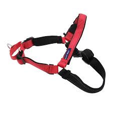 [EW-HC-S-RD-17] Petsafe Easy Walk Headcollar(RED-S)狗狗頭部牽引套(紅色-細碼)