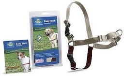[EW-HC-M-BK-17] Petsafe Easy Walk Headcollar(BLK-M)狗狗頭部牽引套(黑色-中碼)