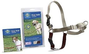 [EW-HC-M-BK-17] Petsafe Easy Walk Headcollar(BLK-M)狗狗頭部牽引套(黑色-中碼)