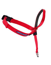 [EW-HC-L-RD-17] Petsafe Easy Walk Headcollar(RED-L)狗狗頭部牽引套(紅色-大碼)