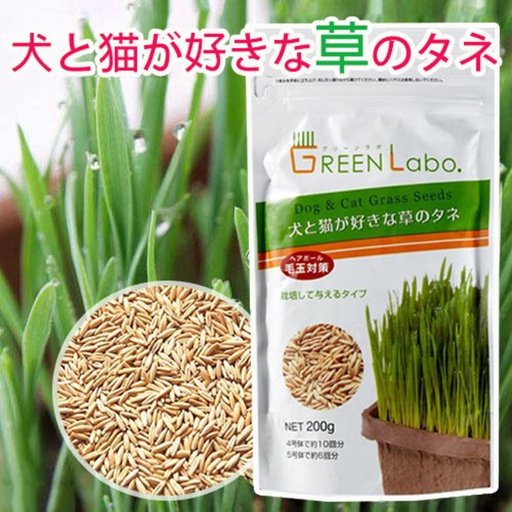 [002467] Green Labo Grass Seed貓草種子